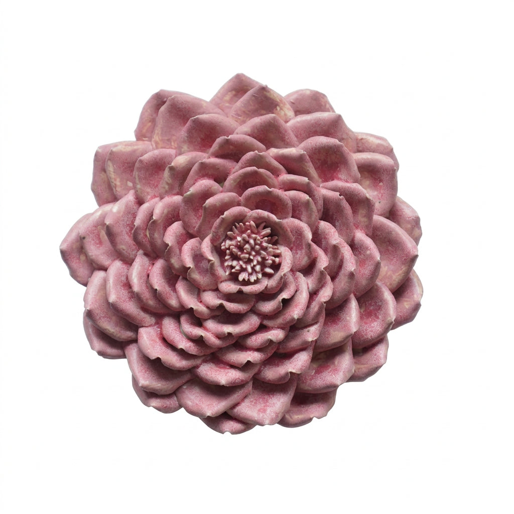 Dahlia Wall Flower