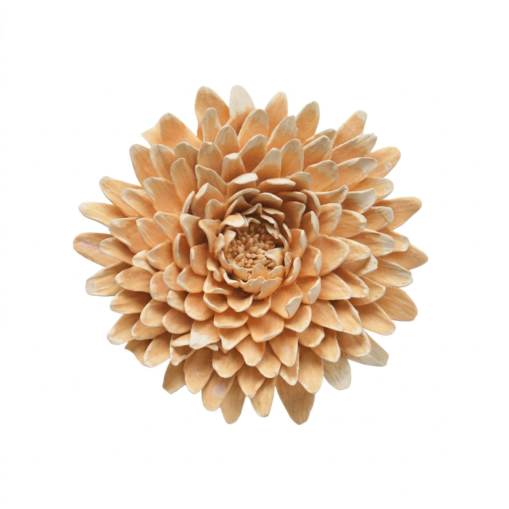 Water Lily Wall Flower