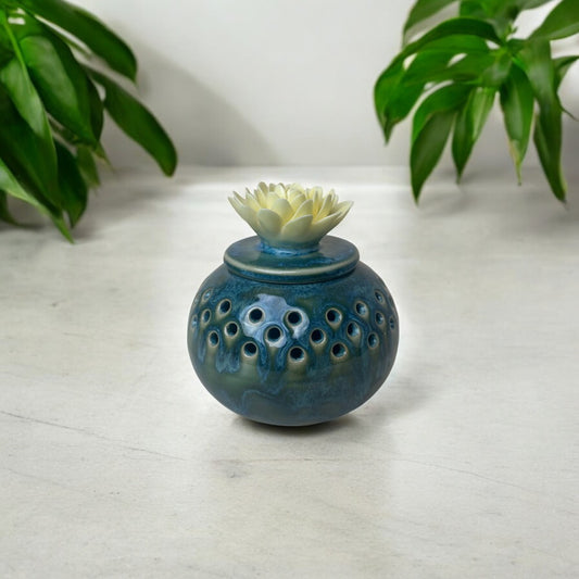 Dahlia Dhoop Dan