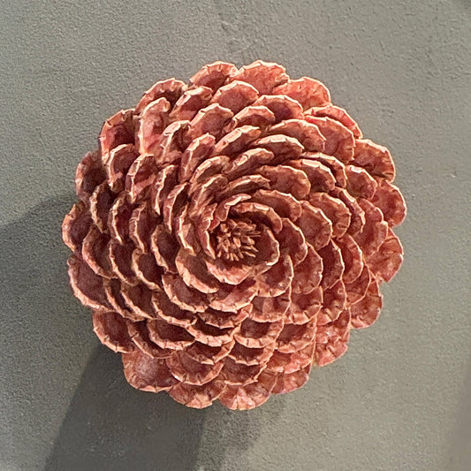 Dahlia Wall Flower