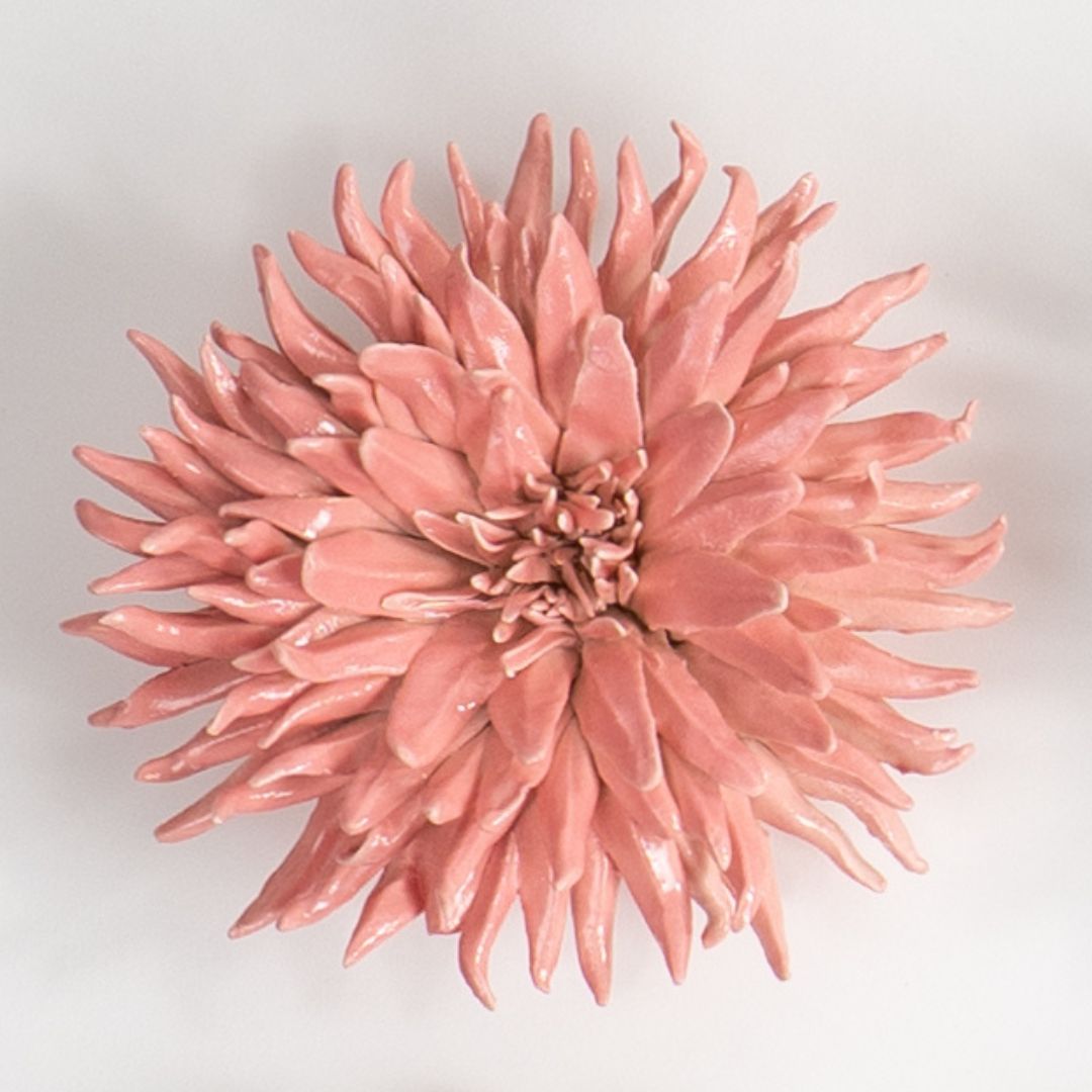 Cactus Dahlia Wall Flower