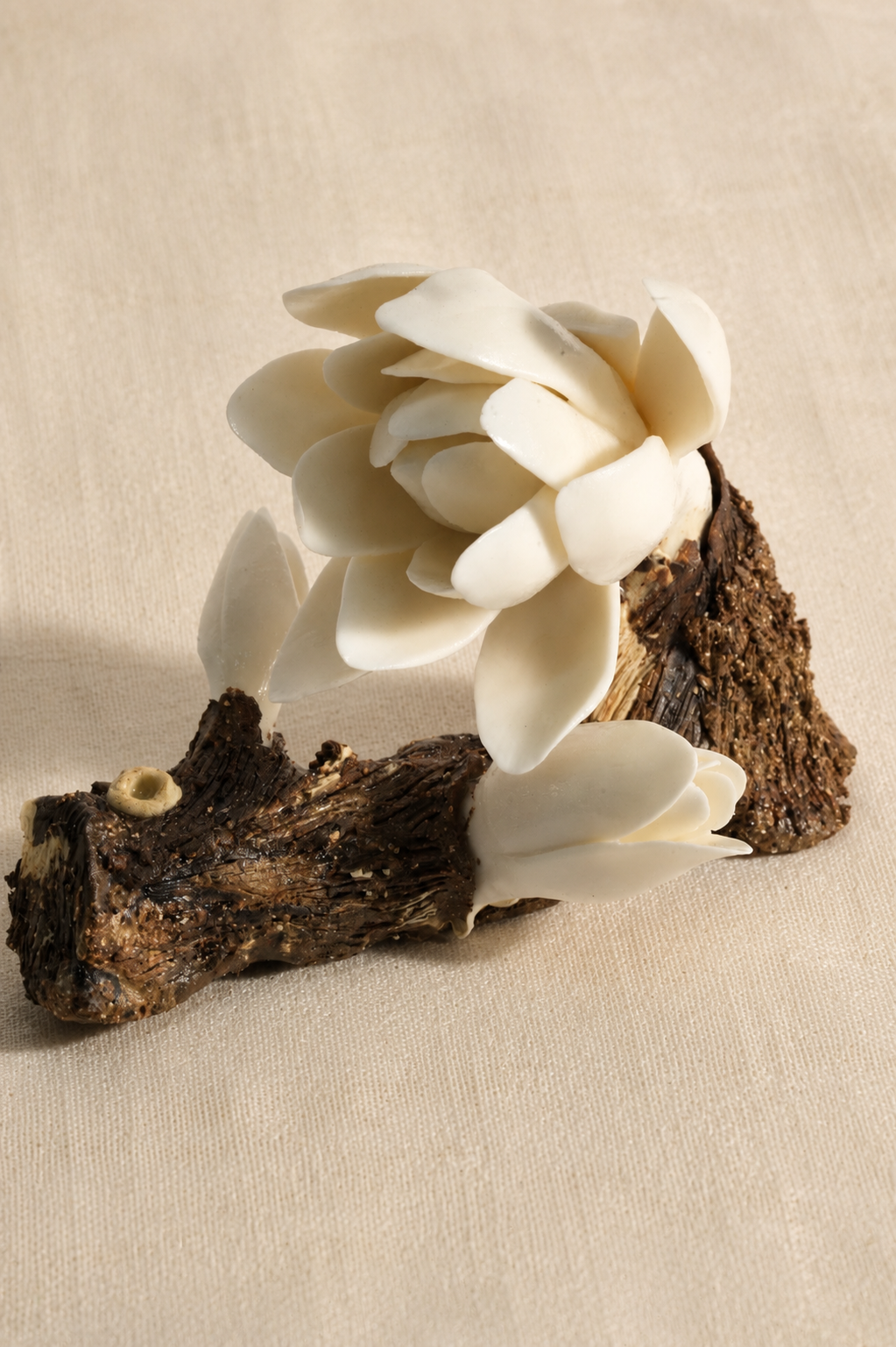 Blossom Log