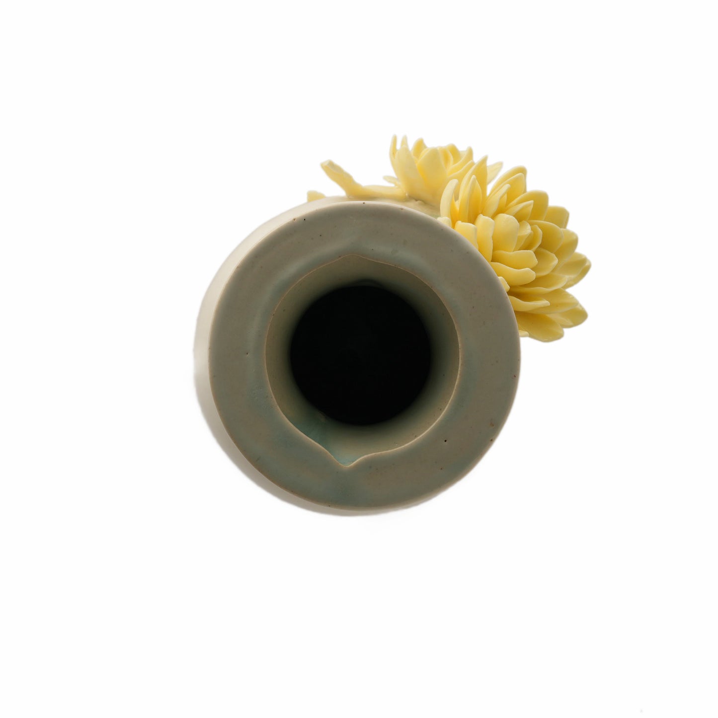 Sunlit Vase