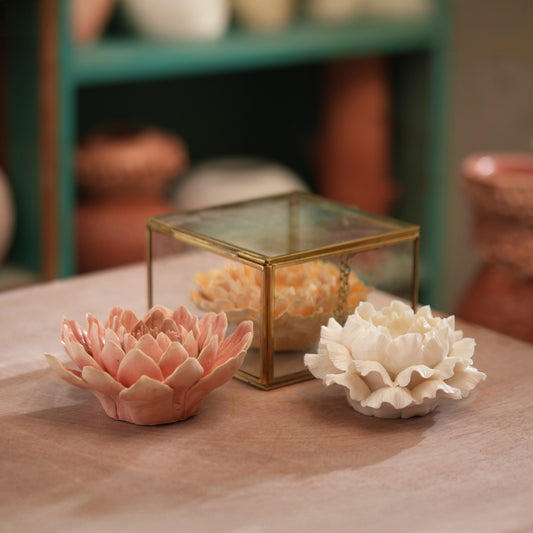 Twin Blooms with Glass Box
