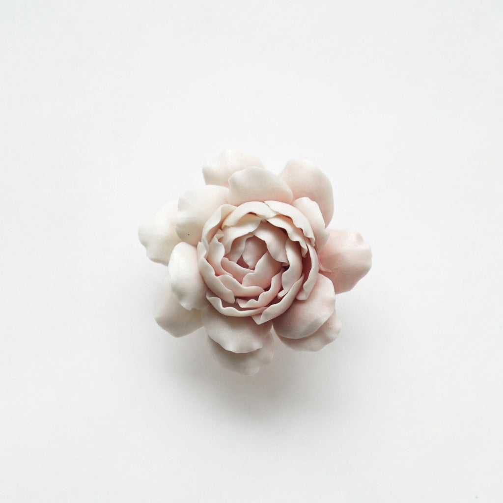 Porcelain Blush Rose
