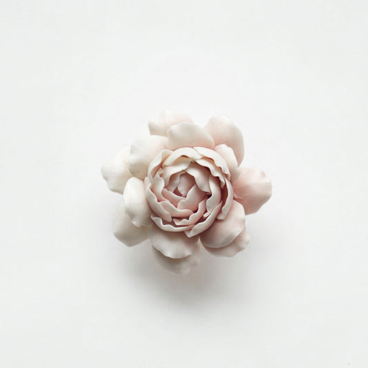 Porcelain Blush Rose