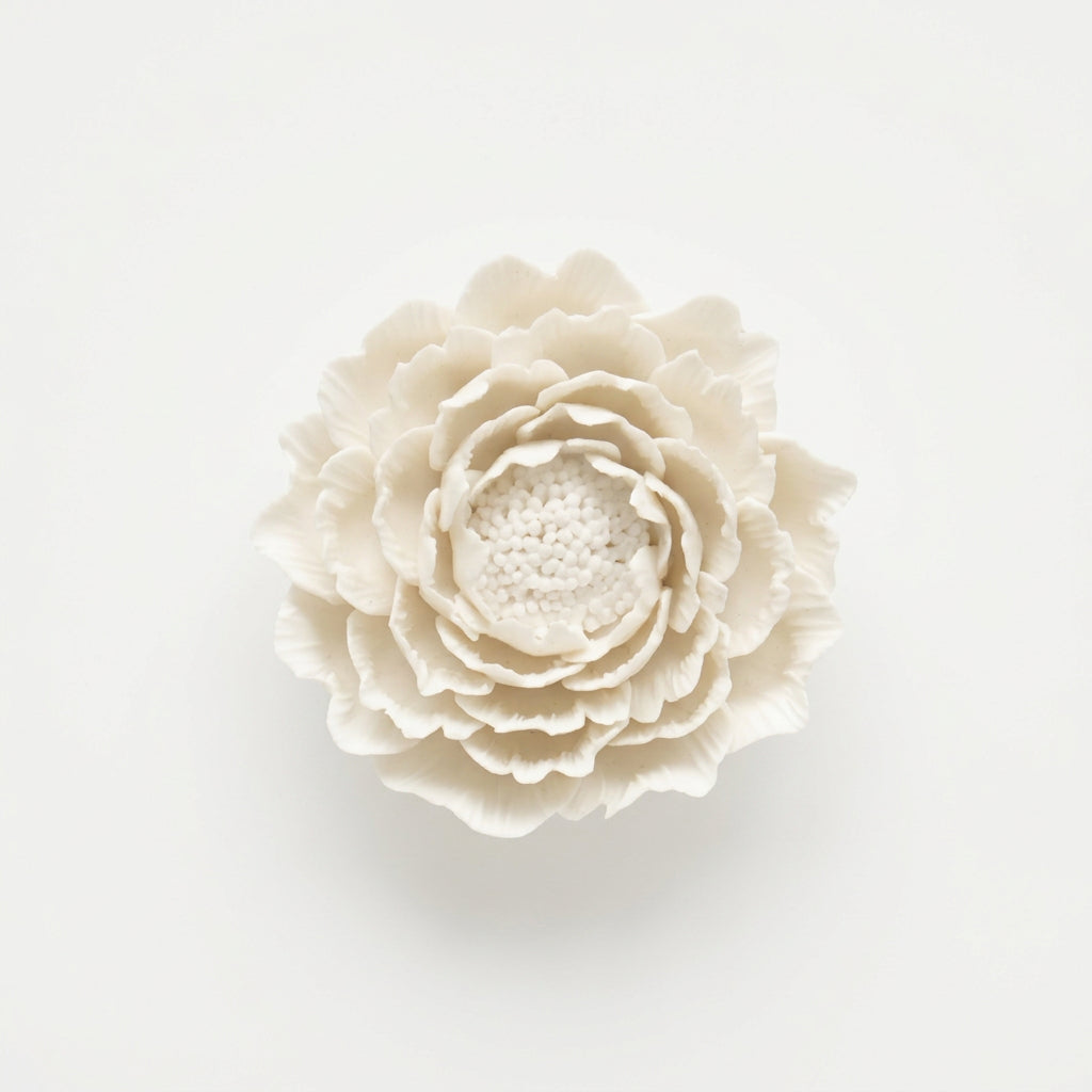 Dahlia Wall Flower
