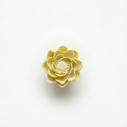 Honeydew Ceramic Bloom