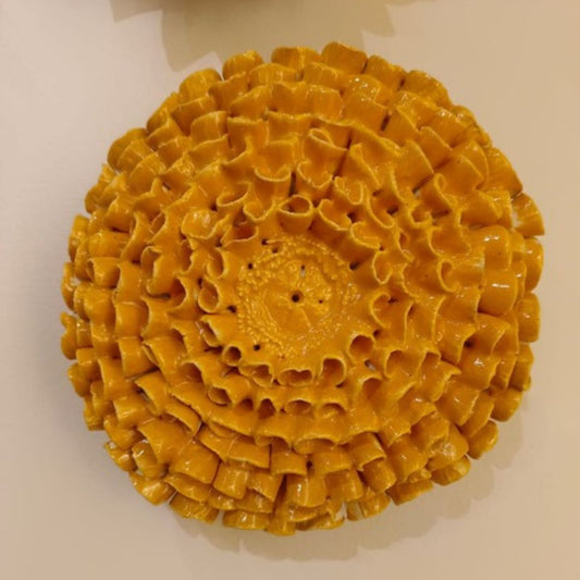 Marigold Wall Flower