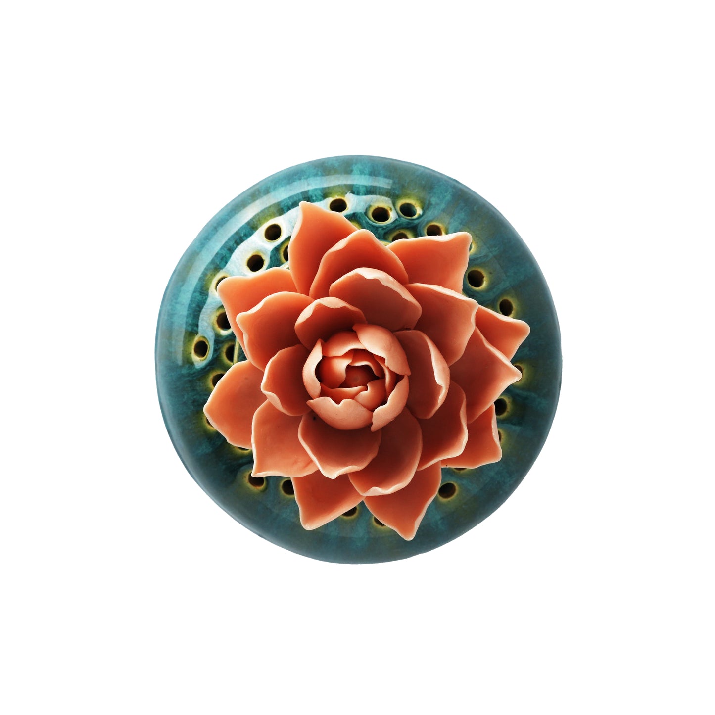 Dahlia Dhoop Dan