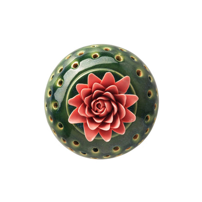 Dahlia Dhoop Dan