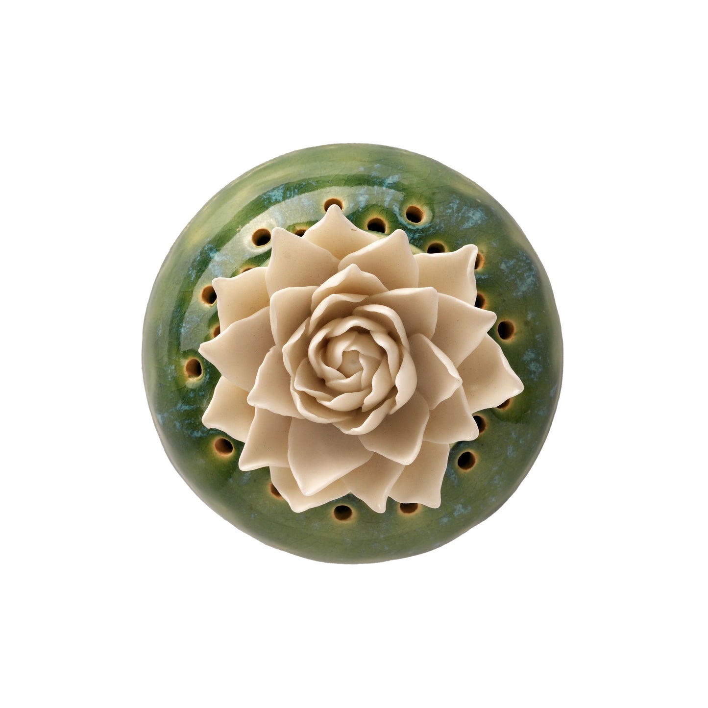 Dahlia Dhoop Dan