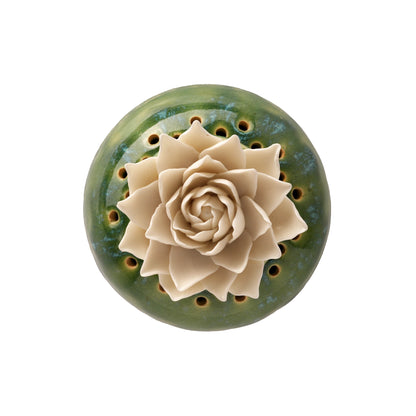 Dahlia Dhoop Dan