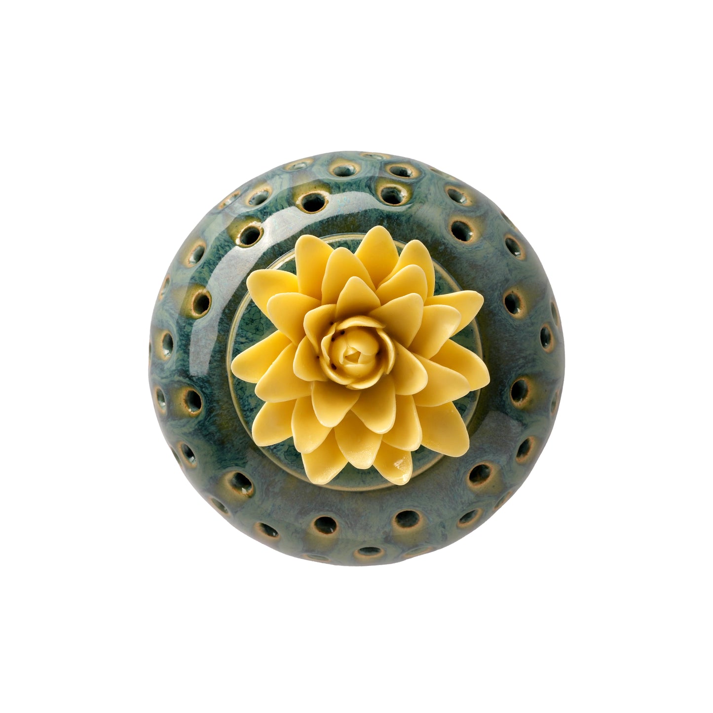 Dahlia Dhoop Dan