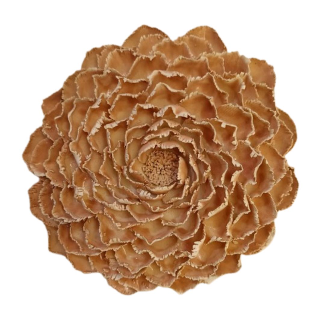 Peony Wall Flower